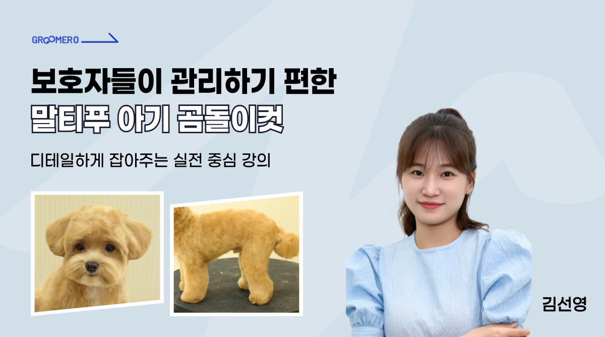 gallery-6